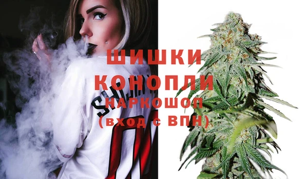 сатива Алзамай