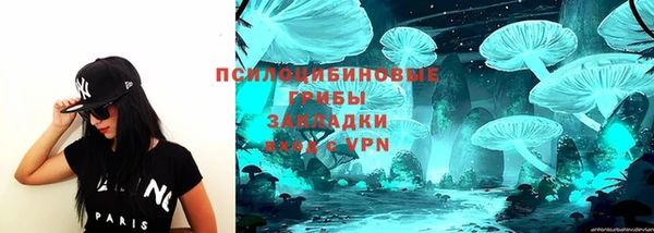 apvp Абинск